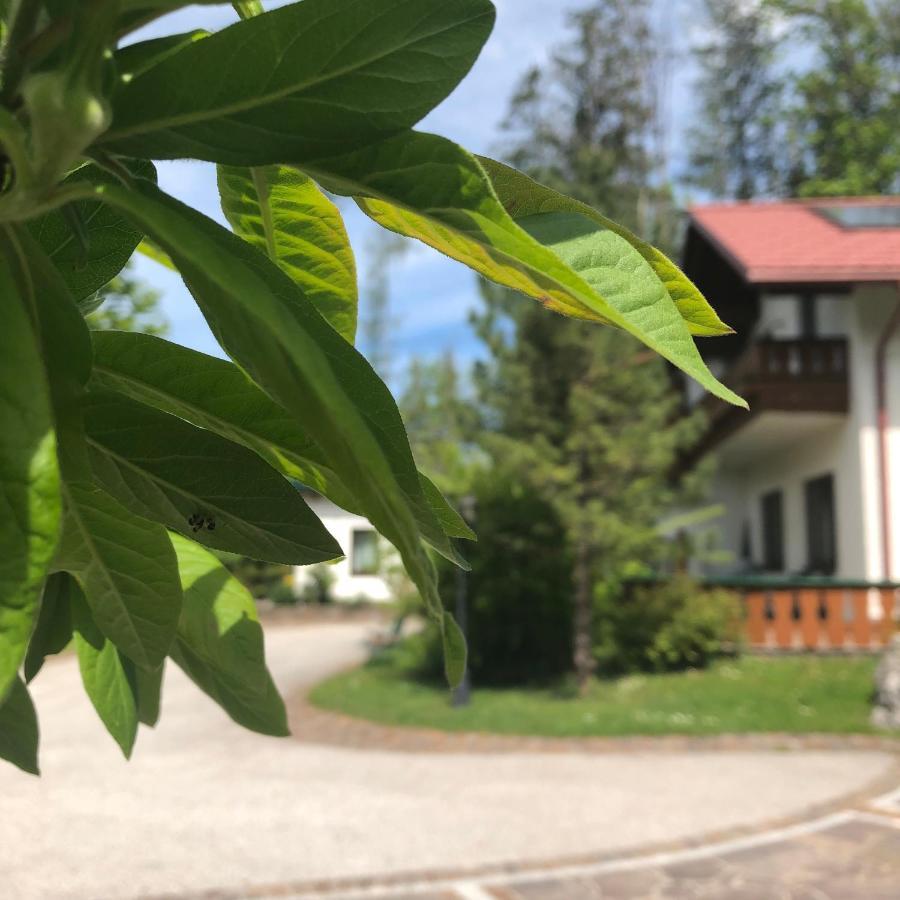 Waldhaus Apartment Hinterstoder Bagian luar foto